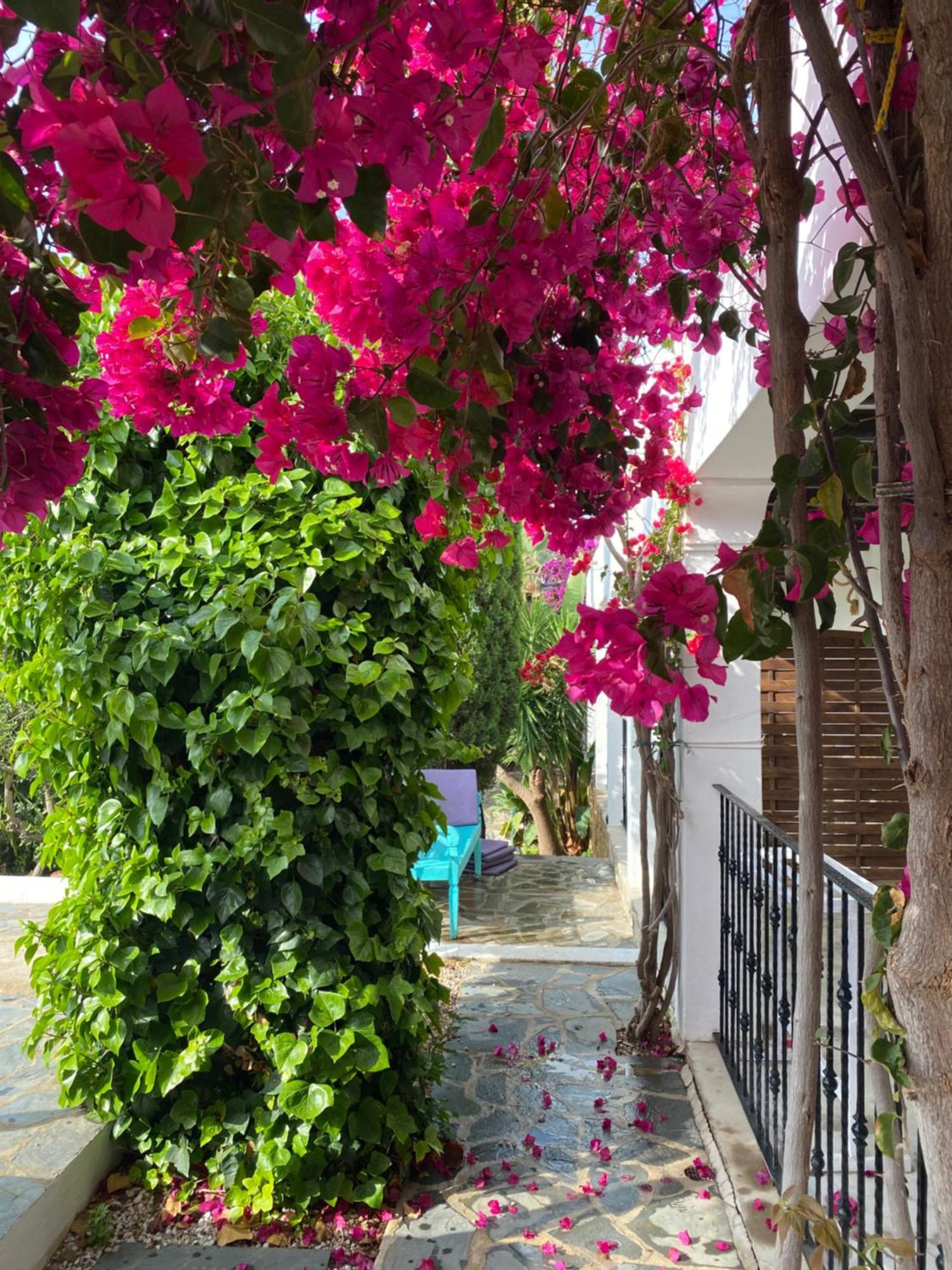 Buenavista Suites Hotel Boutique Santa Eularia des Riu Exteriör bild