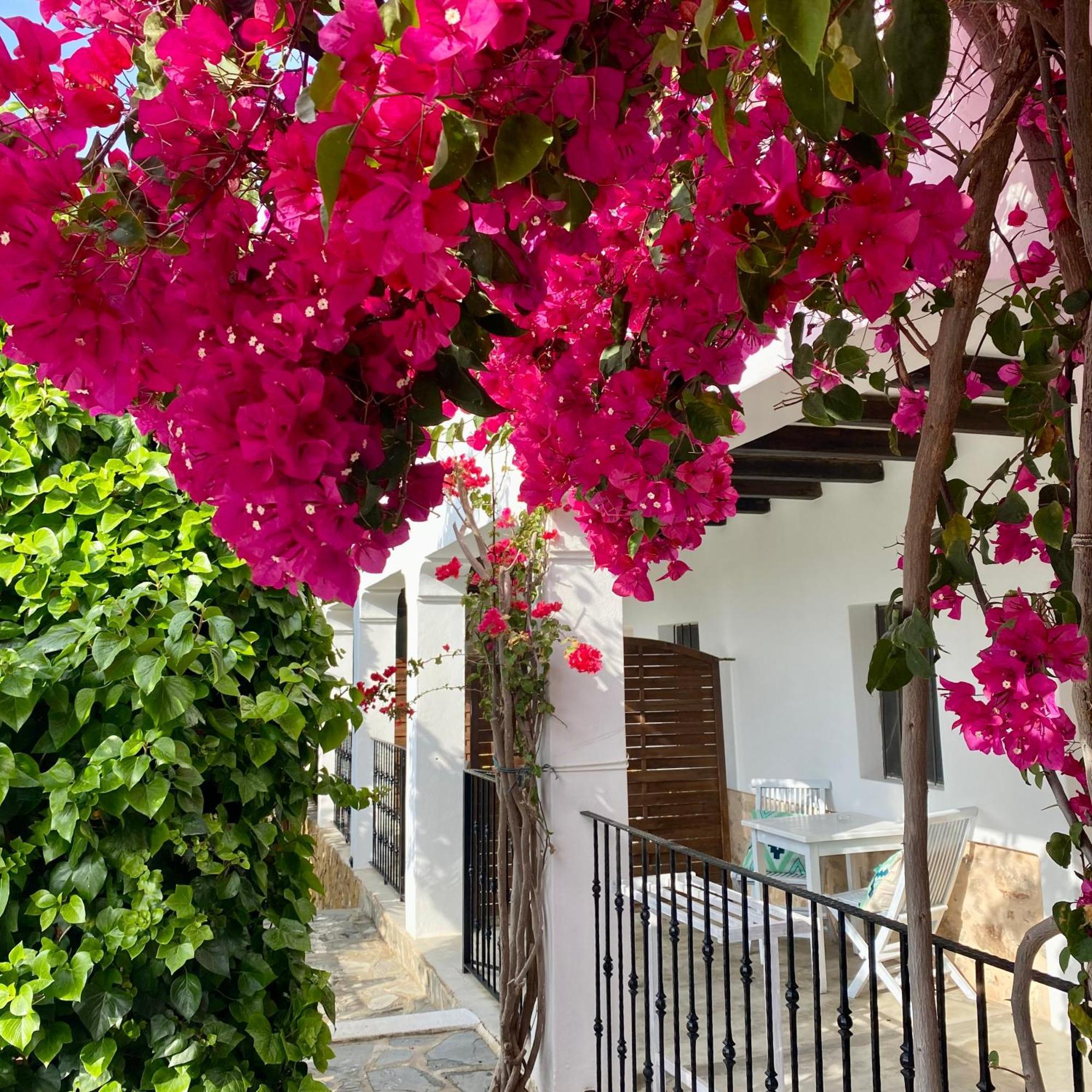 Buenavista Suites Hotel Boutique Santa Eularia des Riu Exteriör bild